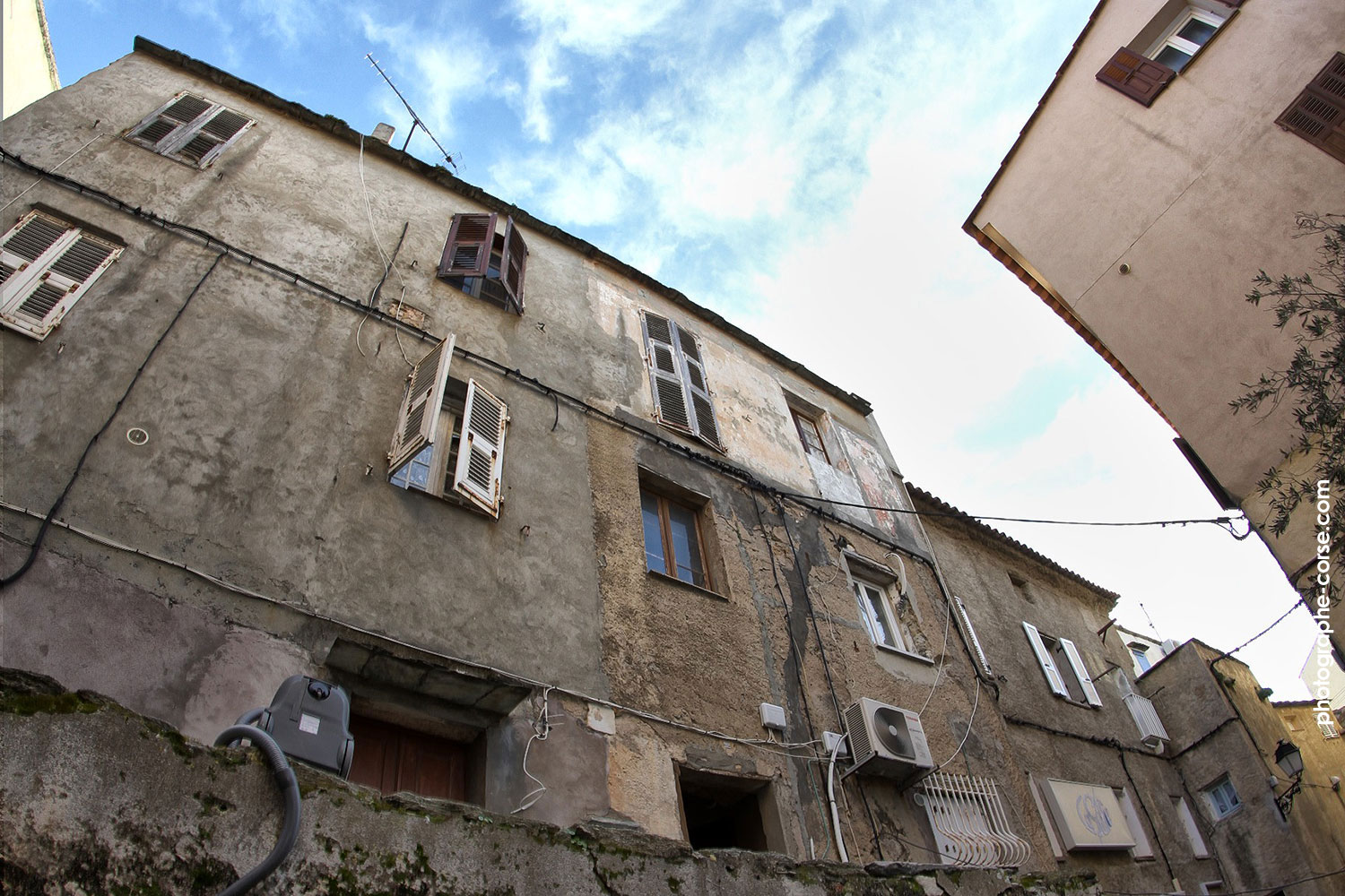 Image 19