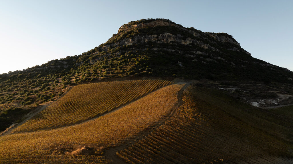 Vignoble de Patrimonio vu par drone