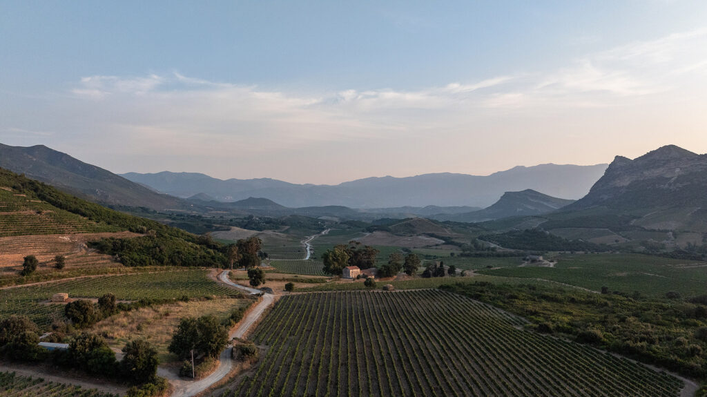 Domaine MF Devichi reportage en drone