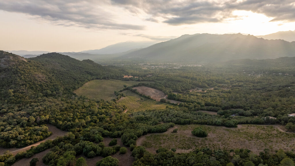Domaine de Torraccia à Lecci